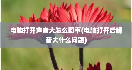 电脑打开声音大怎么回事(电脑打开后噪音大什么问题)