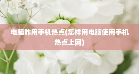 电脑咋用手机热点(怎样用电脑使用手机热点上网)