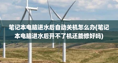 笔记本电脑进水后自动关机怎么办(笔记本电脑进水后开不了机还能修好吗)