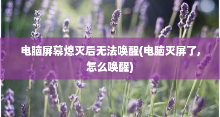 电脑屏幕熄灭后无法唤醒(电脑灭屏了,怎么唤醒)