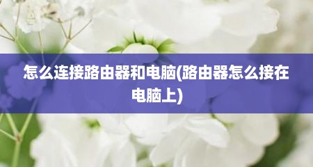 怎么连接路由器和电脑(路由器怎么接在电脑上)