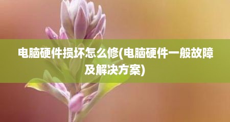 电脑硬件损坏怎么修(电脑硬件一般故障及解决方案)