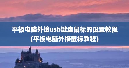 平板电脑外接usb键盘鼠标的设置教程(平板电脑外接鼠标教程)