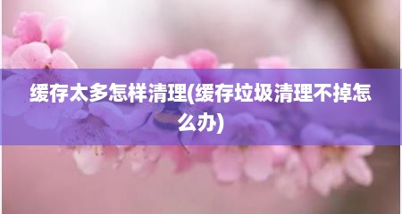 缓存太多怎样清理(缓存垃圾清理不掉怎么办)