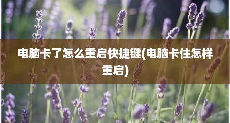 电脑卡了怎么重启快捷键(电脑卡住怎样重启)