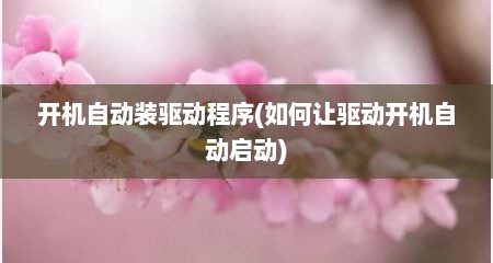 开机自动装驱动程序(如何让驱动开机自动启动)