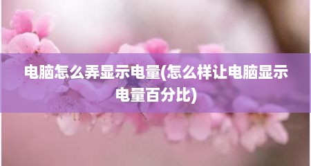 电脑怎么弄显示电量(怎么样让电脑显示电量百分比)