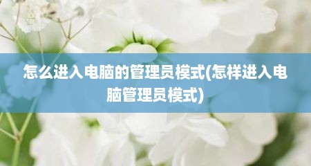 怎么进入电脑的管理员模式(怎样进入电脑管理员模式)