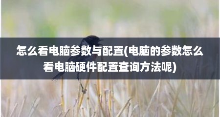 怎么看电脑参数与配置(电脑的参数怎么看电脑硬件配置查询方法呢)