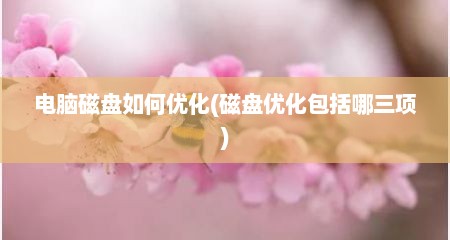 电脑磁盘如何优化(磁盘优化包括哪三项)