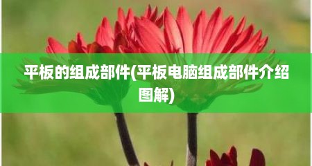 平板的组成部件(平板电脑组成部件介绍图解)
