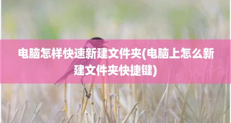电脑怎样快速新建文件夹(电脑上怎么新建文件夹快捷键)