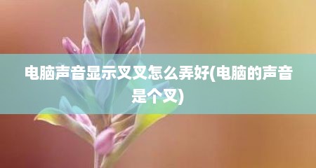 电脑声音显示叉叉怎么弄好(电脑的声音是个叉)