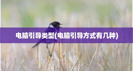 电脑引导类型(电脑引导方式有几种)