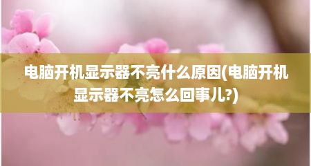 电脑开机显示器不亮什么原因(电脑开机显示器不亮怎么回事儿?)