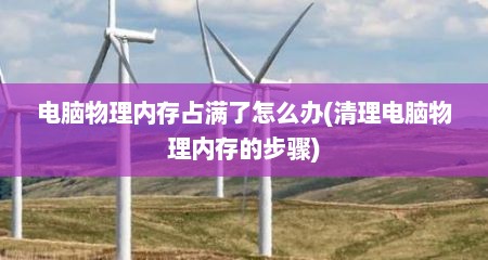 电脑物理内存占满了怎么办(清理电脑物理内存的步骤)