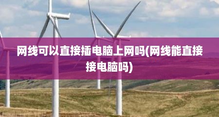 网线可以直接插电脑上网吗(网线能直接接电脑吗)