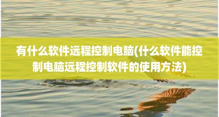 有什么软件远程控制电脑(什么软件能控制电脑远程控制软件的使用方法)