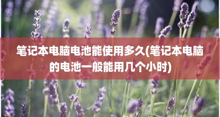 笔记本电脑电池能使用多久(笔记本电脑的电池一般能用几个小时)