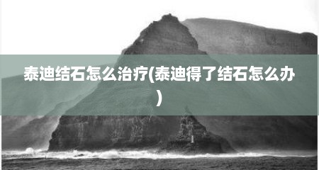 泰迪结石怎么治疗(泰迪得了结石怎么办)