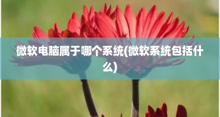 微软电脑属于哪个系统(微软系统包括什么)