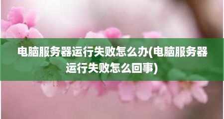 电脑服务器运行失败怎么办(电脑服务器运行失败怎么回事)