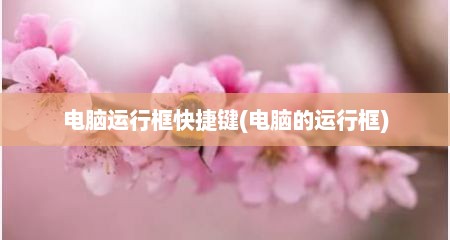 电脑运行框快捷键(电脑的运行框)