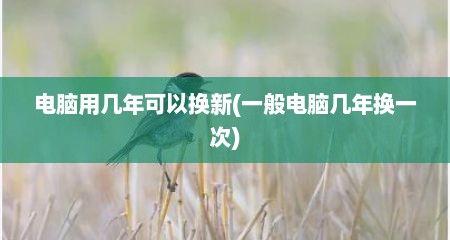 电脑用几年可以换新(一般电脑几年换一次)