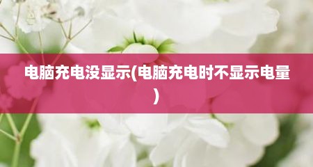 电脑充电没显示(电脑充电时不显示电量)