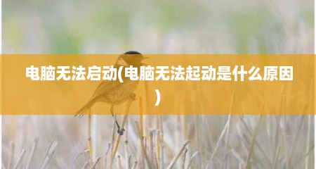 电脑无法启动(电脑无法起动是什么原因)