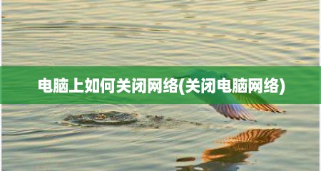 电脑上如何关闭网络(关闭电脑网络)