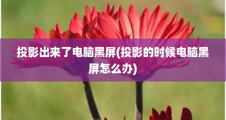 投影出来了电脑黑屏(投影的时候电脑黑屏怎么办)