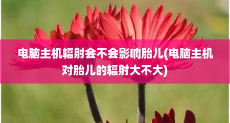 电脑主机辐射会不会影响胎儿(电脑主机对胎儿的辐射大不大)