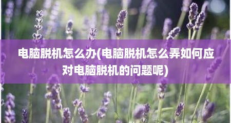 电脑脱机怎么办(电脑脱机怎么弄如何应对电脑脱机的问题呢)