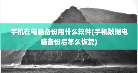 手机在电脑备份用什么软件(手机数据电脑备份后怎么恢复)