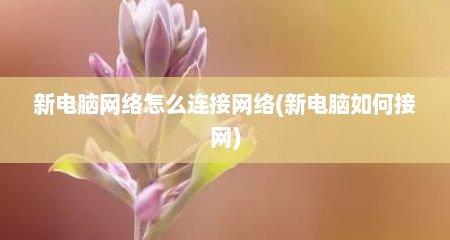 新电脑网络怎么连接网络(新电脑如何接网)