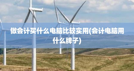 做会计买什么电脑比较实用(会计电脑用什么牌子)
