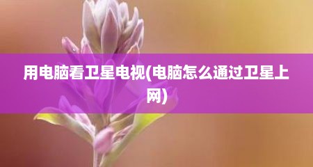 用电脑看卫星电视(电脑怎么通过卫星上网)