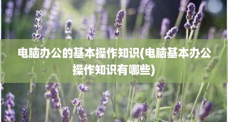 电脑办公的基本操作知识(电脑基本办公操作知识有哪些)