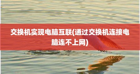 交换机实现电脑互联(通过交换机连接电脑连不上网)