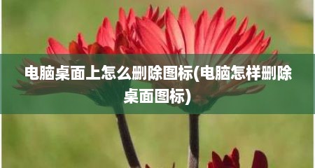 电脑桌面上怎么删除图标(电脑怎样删除桌面图标)