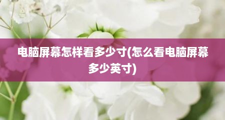 电脑屏幕怎样看多少寸(怎么看电脑屏幕多少英寸)