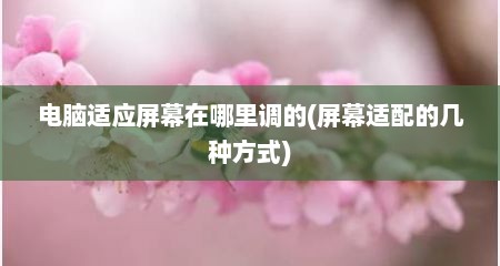 电脑适应屏幕在哪里调的(屏幕适配的几种方式)