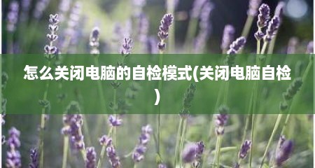 怎么关闭电脑的自检模式(关闭电脑自检)