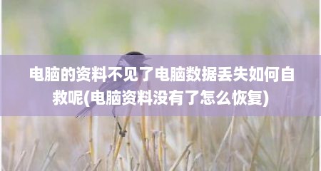 电脑的资料不见了电脑数据丢失如何自救呢(电脑资料没有了怎么恢复)