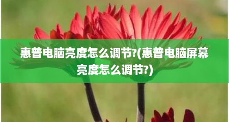 惠普电脑亮度怎么调节?(惠普电脑屏幕亮度怎么调节?)