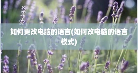 如何更改电脑的语言(如何改电脑的语言模式)