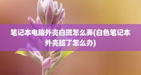 笔记本电脑外壳白斑怎么弄(白色笔记本外壳脏了怎么办)