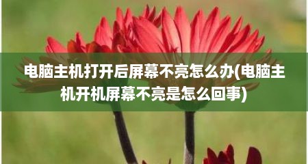 电脑主机打开后屏幕不亮怎么办(电脑主机开机屏幕不亮是怎么回事)
