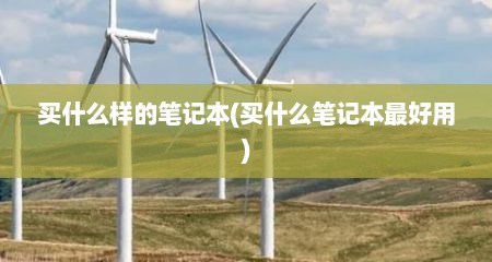 买什么样的笔记本(买什么笔记本最好用)